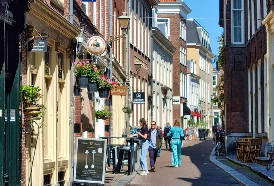 The Hague: City Walking Tour - Palaces still used by the royal family for special functions