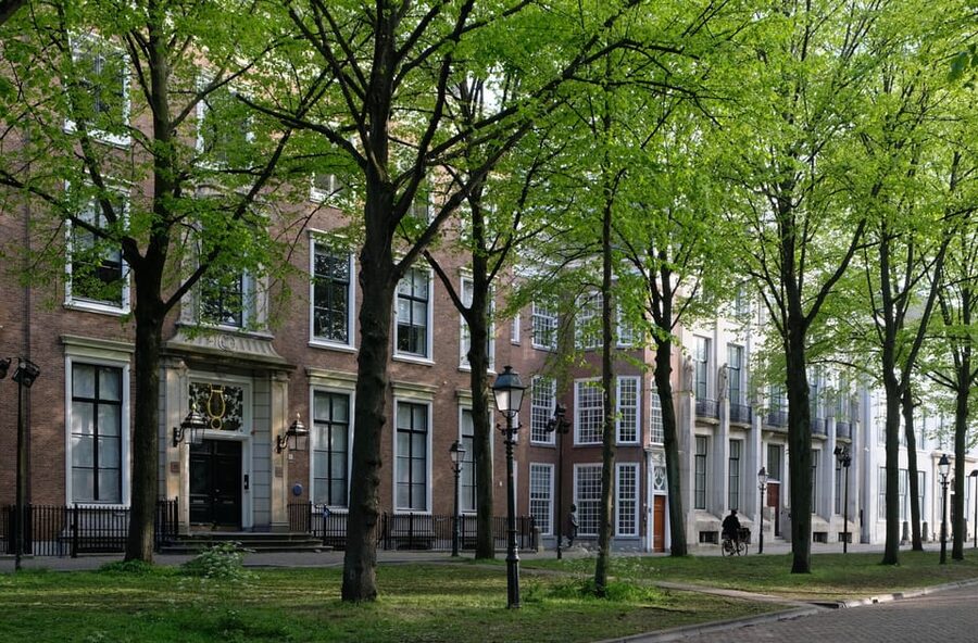 The Hague: City Walking Tour - Price and value: why $9 makes sense for this kind of tour