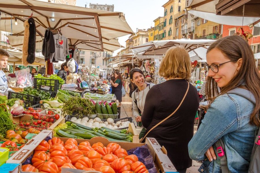 The Highlights of Verona Small Group Walking Tour - Piazza delle Erbe and Piazza dei Signori: where Verona shows its civic side