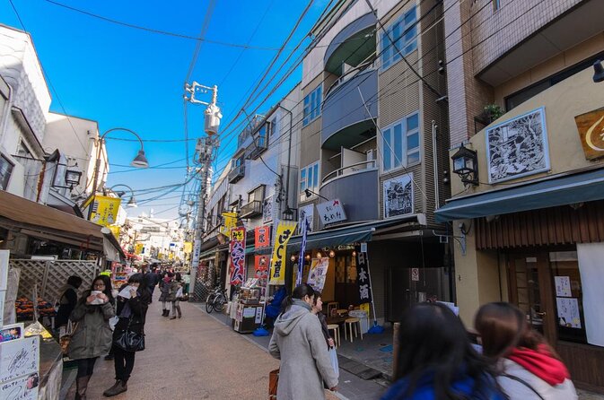 The Old Quarter of Tokyo - Yanaka Walking Tour - Key points to know before you go