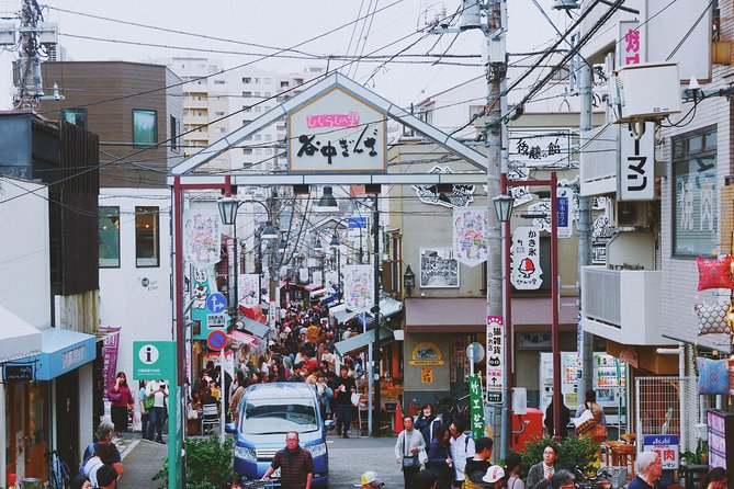 The Old Quarter of Tokyo - Yanaka Walking Tour - The 100-year-old cyder tree and the symbol of Yanaka