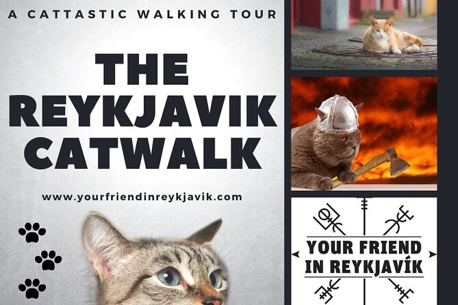 The Reykjavik Cat Walking Tour - Stop 2: Lake Tjörnin for birdlife and cat imagination
