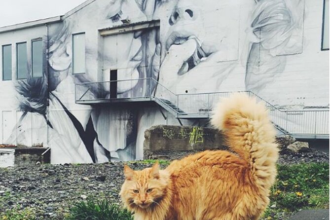 The Reykjavik Cat Walking Tour - Price and value: what $76.22 gets you