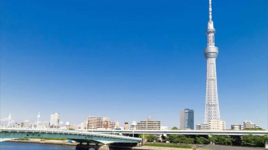 Tokyo: Customizable Private Guided Walking Tour - Price and value: what $87 gets you, and what you pay separately
