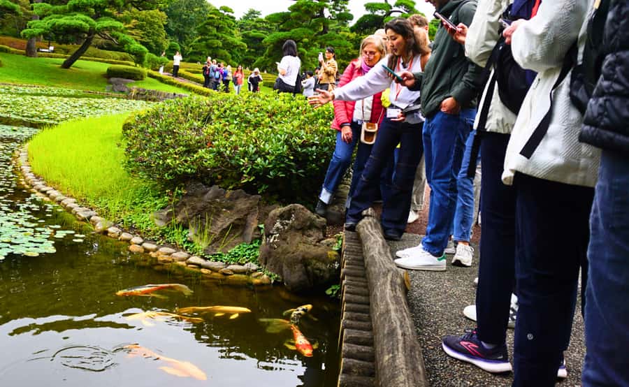 Tokyo: Imperial Palace Japanese History Walking Tour - Eastern Gardens: Where the Calm Hides the Political Story