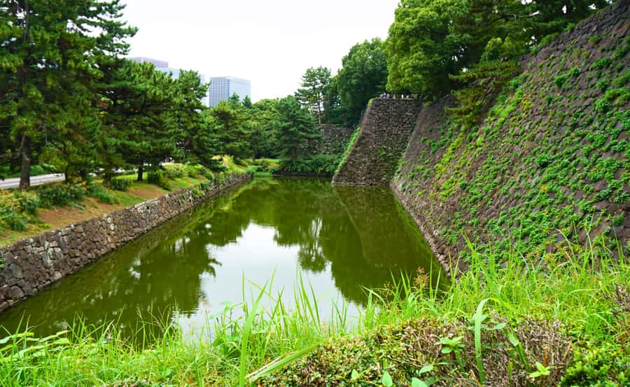 Tokyo: Imperial Palace Japanese History Walking Tour - How the Guides Turn Palace Rules Into Easy, Fun Understanding