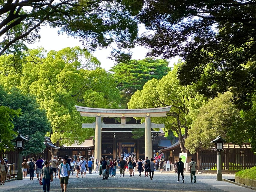 Tokyo: Meiji Jingu Shrine and Shinto Culture Walking Tour - Consecrated Sake Barrels and Wine Barrels: Offerings You Can Understand
