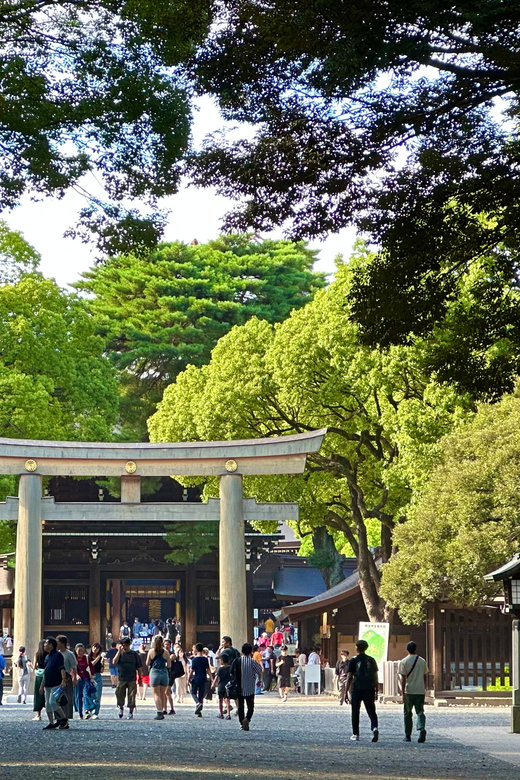 Tokyo: Meiji Jingu Shrine and Shinto Culture Walking Tour - The Sacred Forest of 100,000 Trees: A Walk That Changes the Mood