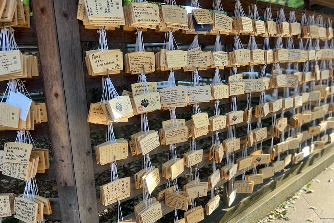 Tokyo: Meiji Shrine and Shinto Culture Walking Tour - Price check: what $18 gets you (and why it can be worth it)
