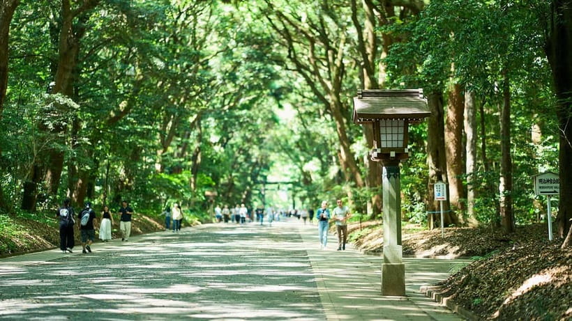 Tokyo: Meiji Shrine Walking Tour — Shinto & Imperial System - Meiji Shrine’s real magic: quiet forest + clear context