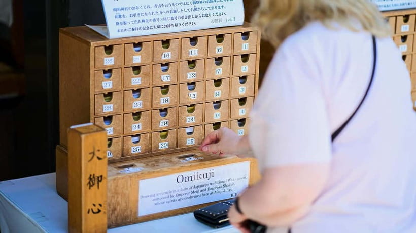 Tokyo: Meiji Shrine Walking Tour — Shinto & Imperial System - Price and value: getting a lot of guided meaning for $23