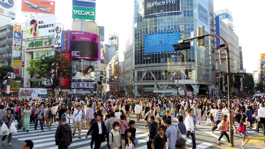 Tokyo: Private Walking Tour with a Local - How a Private Lokafyer Changes Tokyo From Day 1