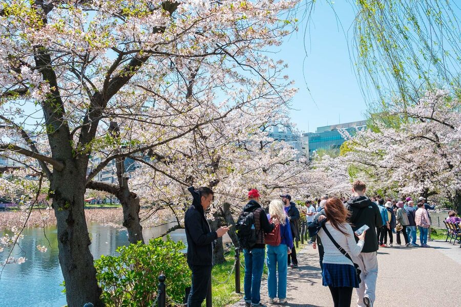 Tokyo: Private Walking Tour with a Local Guide - How the 2–8 hour options change what you can actually see