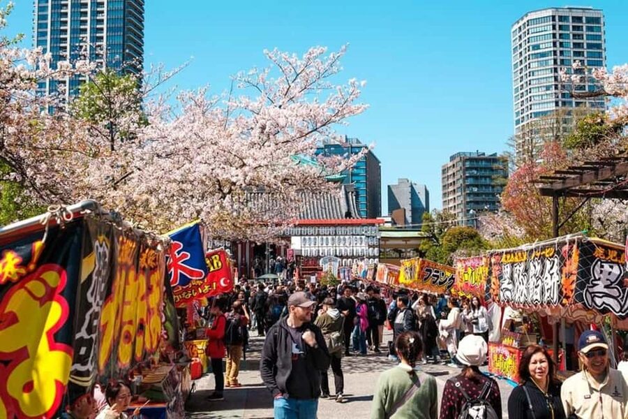 Tokyo: Private Walking Tour with a Local Guide - Sensō-ji and Asakusa: where the day starts feeling like Tokyo