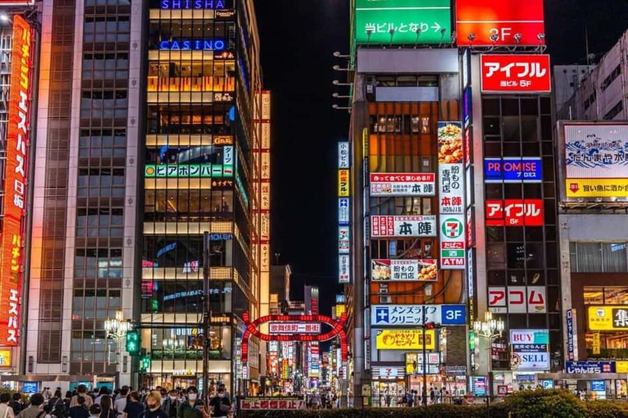 Tokyo: Private Walking Tour with a Local Guide - Ueno and Ameya-Yokocho: parks, temples, and a market mood