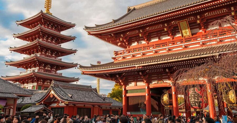 Tokyo: Private Walking Tour with a Local Guide - Price and what $53 buys you in real terms
