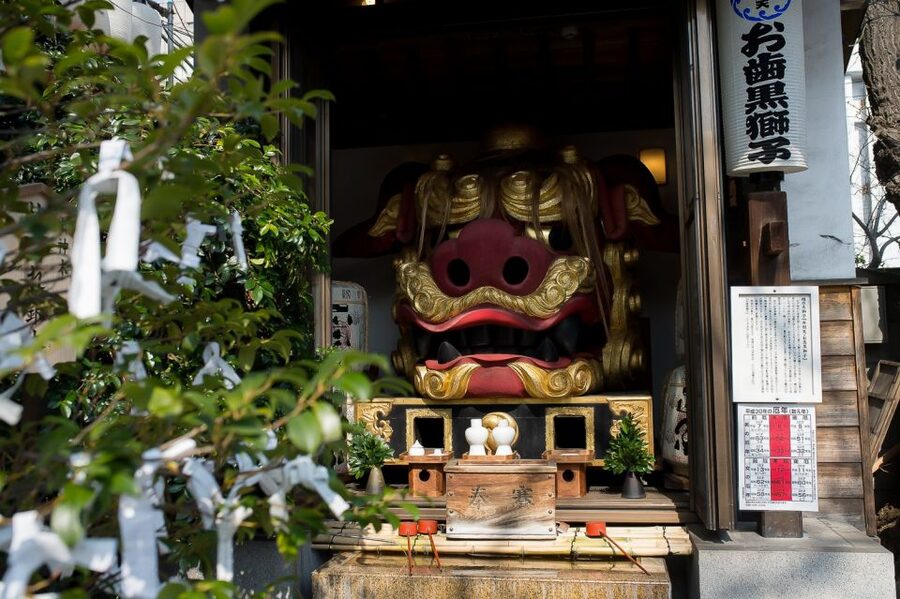 Tokyo: Tsukiji Market Walking Tour & Sushi Cooking Class - Who this tour fits best (and who might be frustrated)