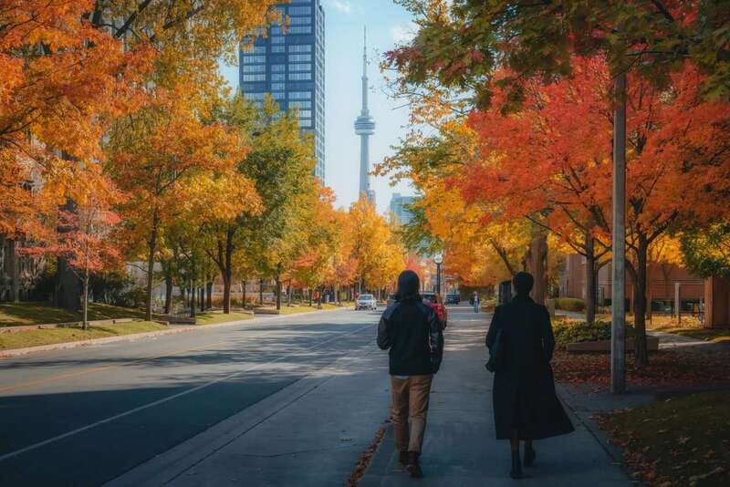 Toronto: City Highlights Walking Tour | 3-Hour - PATH Toronto: The Underground “Maze” That Can Save Your Day