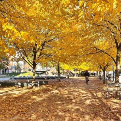 Toronto: City Walking Tour - Starting in the Entertainment District: where the energy is real