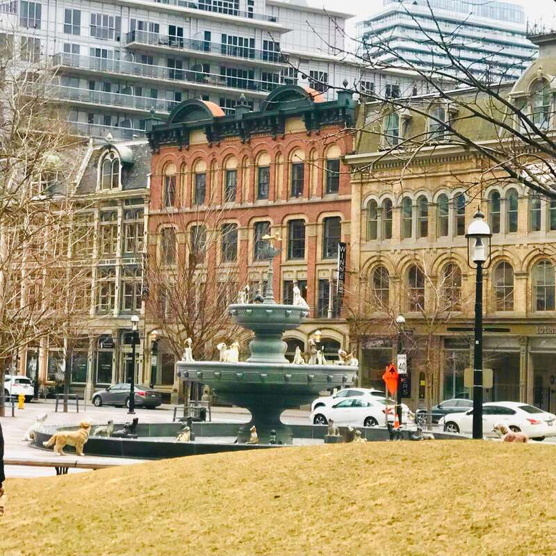 Toronto: City Walking Tour - Old Toronto: 19th-century streets with a different mood