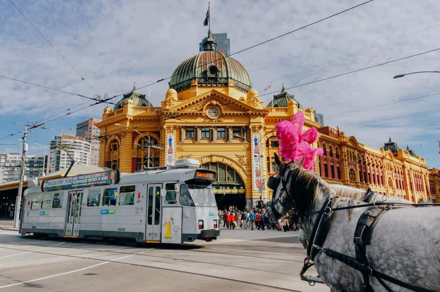 Ultimate Melbourne Walking Tour: History, Laneways & Culture - Federation Square, the MCG Precinct, and Flinders Street Station