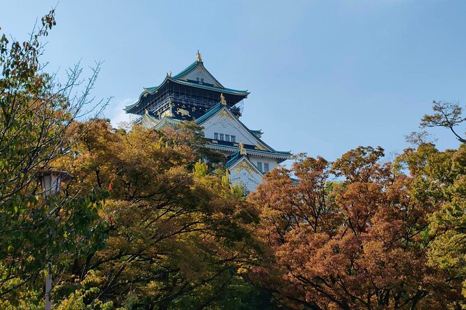 Ultimate Osaka Walking Tour: Castle, Dotonbori & Hidden Gems - Osaka Castle area (no entry): the best way to see it fast