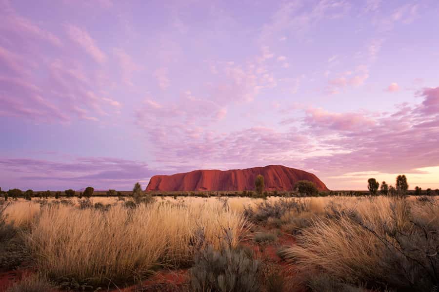 Uluru: Guided Walking Tour at Sunrise with Light Breakfast - Key Highlights You’ll Care About Most