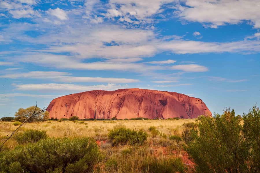 Uluru: Guided Walking Tour at Sunrise with Light Breakfast - Getting There on the Coach (and Why It’s Part of the Experience)