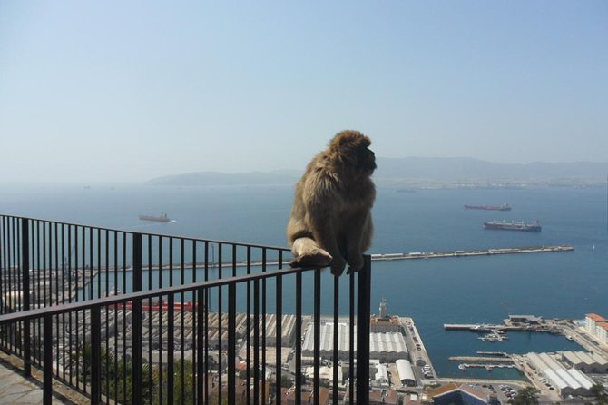 Upper Rock Walking Tour - The Views Choice: Mediterranean Steps vs Easier Routes
