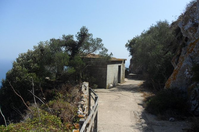 Upper Rock Walking Tour - Meeting at 1 Library Ramp: Timing and the Small-Group Advantage