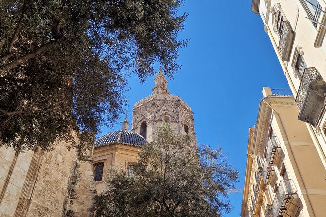 Valencia Private Walking Tour with Official Valencian Guide - Why This Private Old Valencia Walk Feels So Efficient