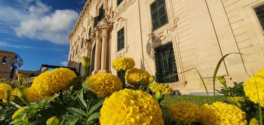Valletta: City Walking Tour in a Small Group - How the guides turn streets into stories (and keep you moving)