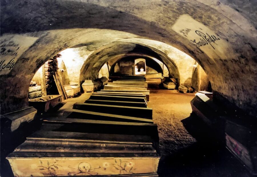 Vienna: 1.5-Hour Underground Walking Tour - Entering Vienna’s Underground Layers at Michaelerplatz