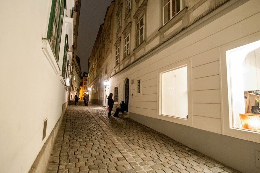 Vienna: Ghosts and Legends Guided Nighttime Walking Tour - Price and value for $20: what you’re really buying