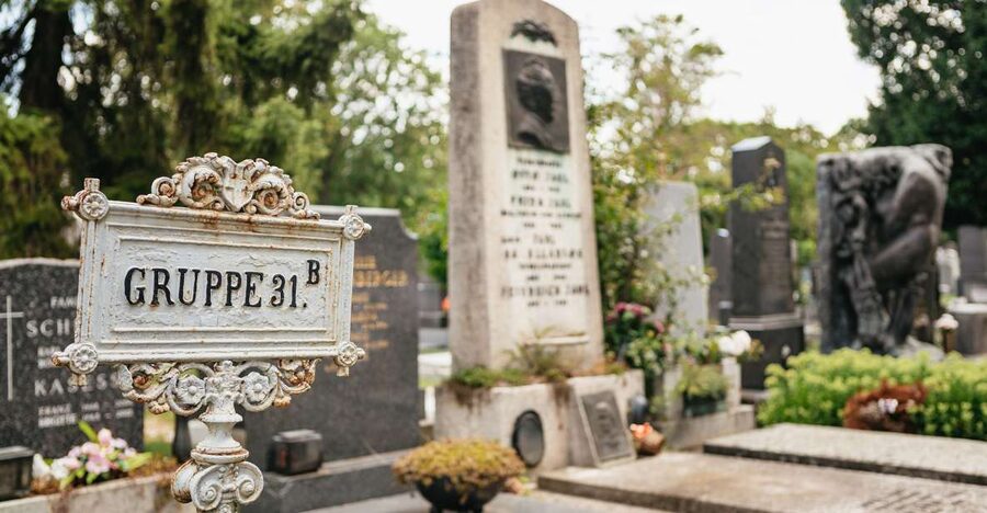 Vienna: Vienna Central Cemetery Guided Walking Tour - First walk in: getting your bearings fast
