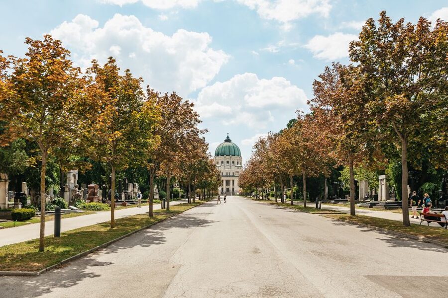 Vienna: Vienna Central Cemetery Guided Walking Tour - Soldiers’ graves and memorials: remembrance in plain sight