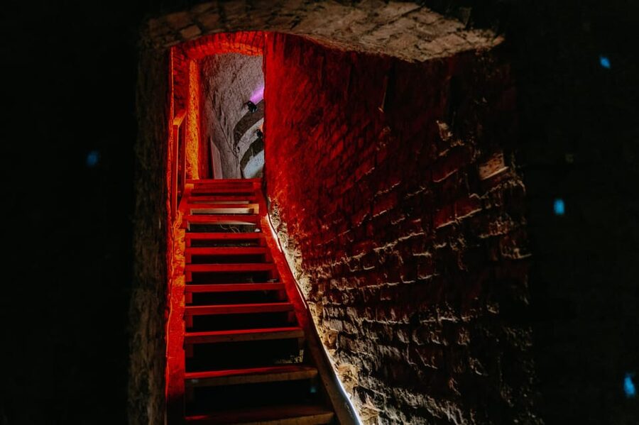 Vienna: Viennese Underworld Guided Walking Tour - Entering the Hidden Network: Stairs, Tight Spaces, and Your Pace