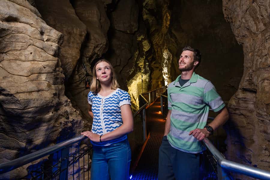 Waitomo Caves: Ruakuri Glowworm Cave Guided Walking Tour - Key highlights worth planning around