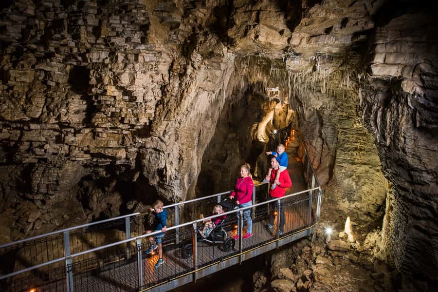 Waitomo Caves: Ruakuri Glowworm Cave Guided Walking Tour - Who should book Ruakuri and who should think twice