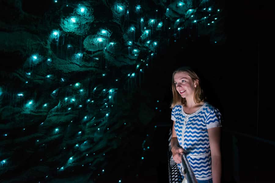 Waitomo Caves: Ruakuri Glowworm Cave Guided Walking Tour - From the entry point to the spiral entrance: what the walk feels like