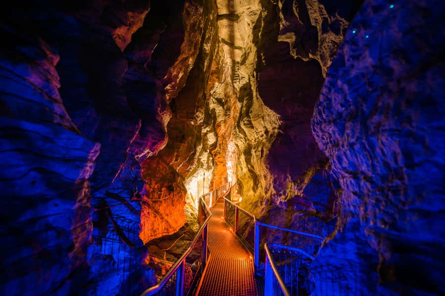 Waitomo Caves: Ruakuri Glowworm Cave Guided Walking Tour - Holdens Cavern and the named passages you’ll hear explained