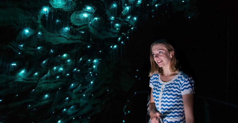 Waitomo Caves: Ruakuri Glowworm Cave Guided Walking Tour - Glowworms up close: don’t expect a single-style display