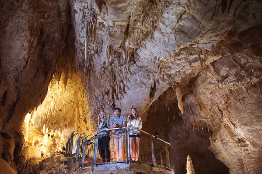 Waitomo Caves: Ruakuri Glowworm Cave Guided Walking Tour - What the guides actually add (and why you’ll notice names)