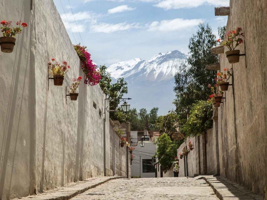 Walking tour in the Historic Center of Arequipa - Mundo Alpaca: meeting llamas, alpacas, Suri, and vicuñas