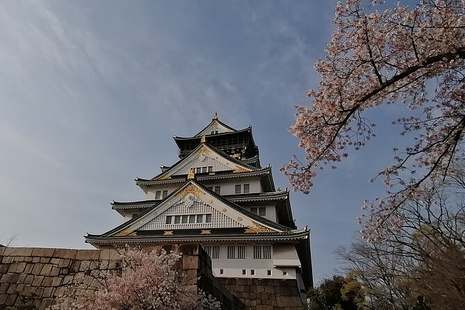 Walking Tour of Osaka's 5 Must-See Sights, with Ramen for Lunch - Setting Off From Tanimachi-sanchome: A 7-Hour Walk That Actually Fits