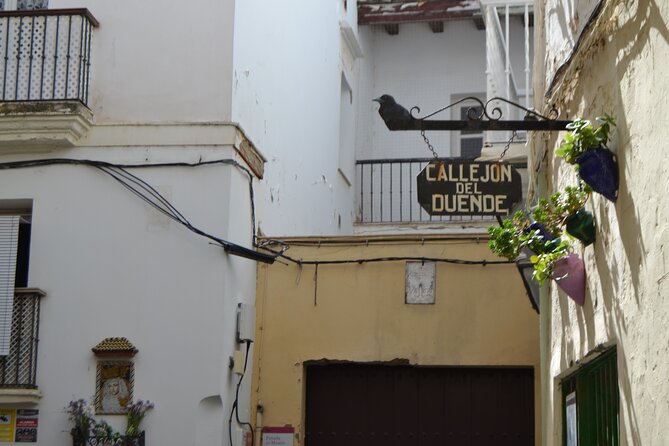 Walking Tour through Cádiz: Stories from the hand of a local guide - Plaza San Antonio and Parque Genovés: neighborhoods that teach you how to walk Cádiz