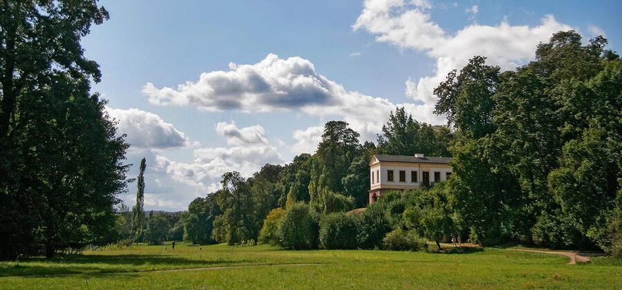 Weimar: Old Town Guided Walking Tour - Key highlights to expect