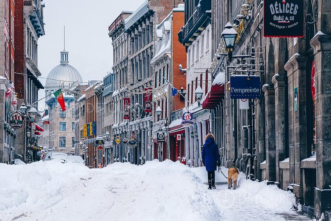 Winter Express: Old Montreal Highlights Walking Tour - Who This Tour Fits Best (and Who Should Think Twice)