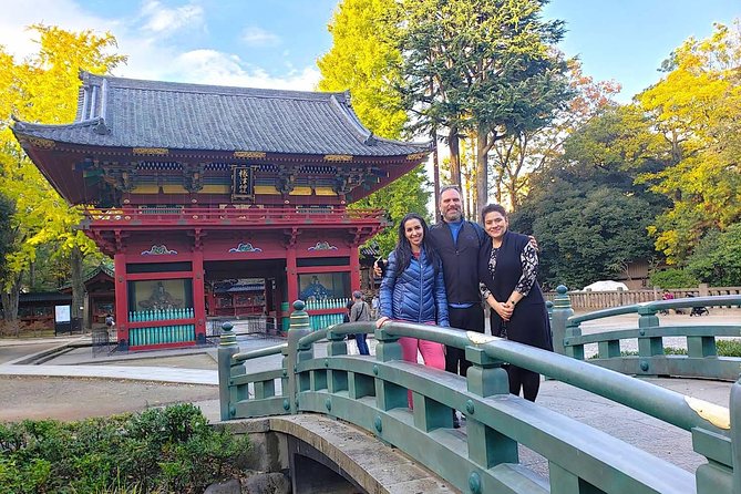 Yanaka Walking Tour: Historic and Traditional District of Tokyo - Optional tea at Gallery Okubo: when to spend extra yen